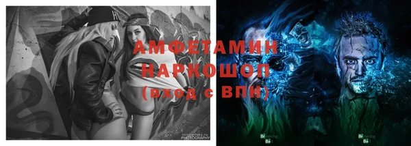 ECSTASY Лагань
