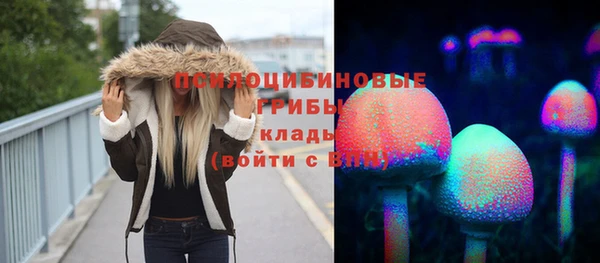дживик Лабытнанги