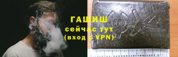 ECSTASY Лагань