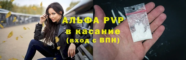 ECSTASY Лагань
