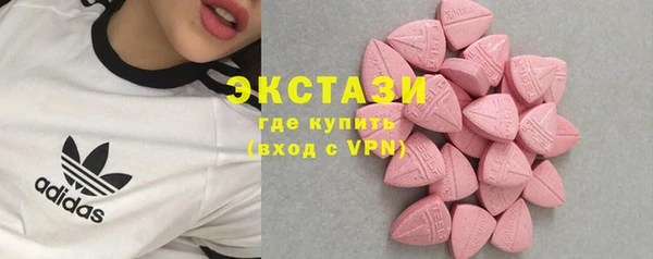 ECSTASY Лагань