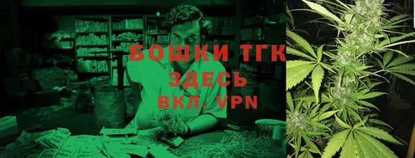 дживик Лабытнанги