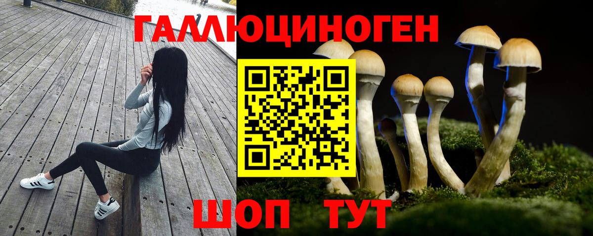 Электрогорск  Псилоцибиновые грибы MAGIC MUSHROOMS  Вход с VPN  Галлюциногенные грибы MAGIC MUSHROOMS 