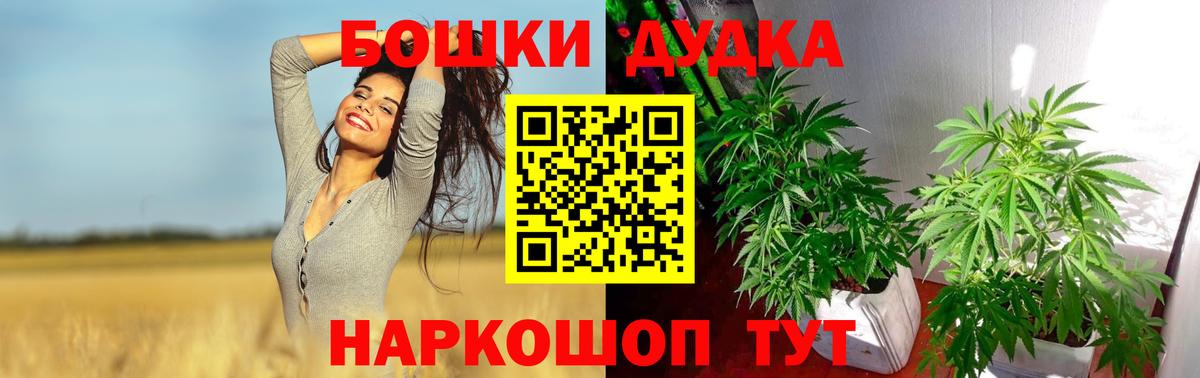 Каннабис план Электрогорск